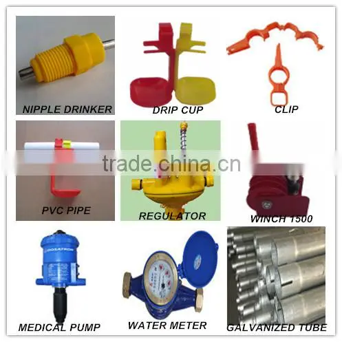 Automatic poultry watering system for chickens