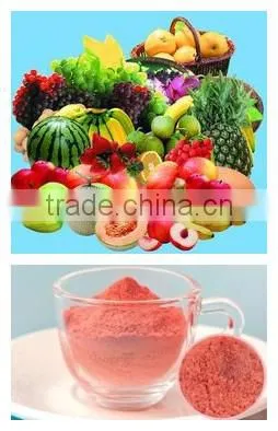 Belt Vacuum dryer for fruit powder