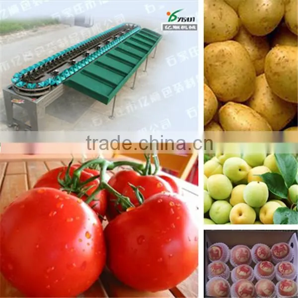 Avocado fruit sorting machine