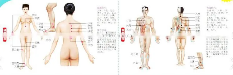 High quality silicone rubber cupping set