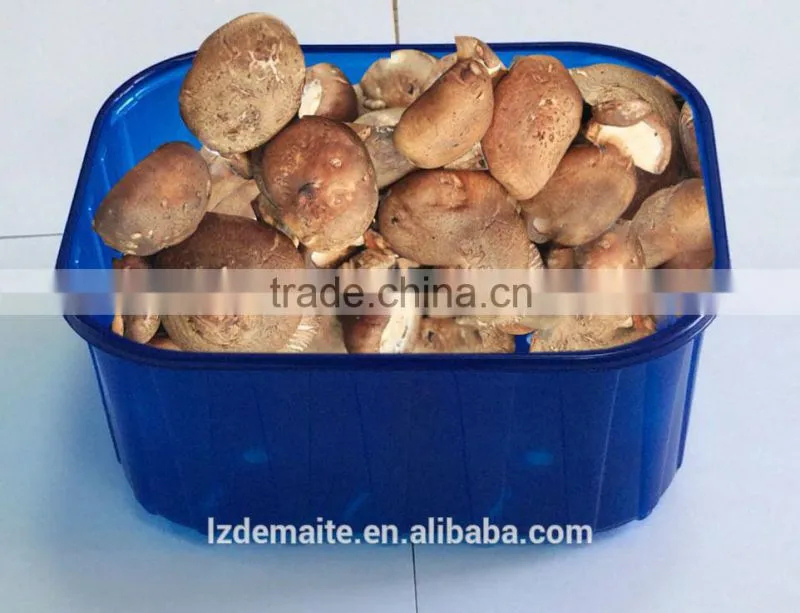 Plastic Packaging Material For Frozen Food