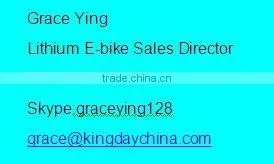 800W electric motorcycle/electric bicycle with pedal/electrical scooter with EEC approved