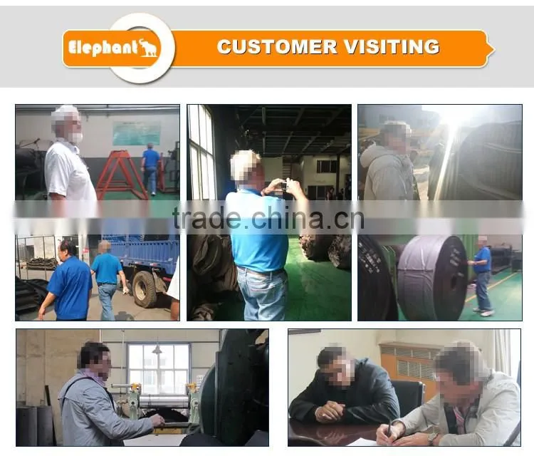 Elephant Belt Light Duty PVC PU PE Conveyor Belt