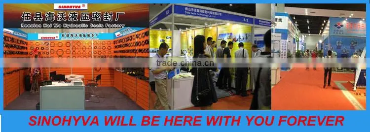 Hot sale and good quality NOK rod seal 100 120 12