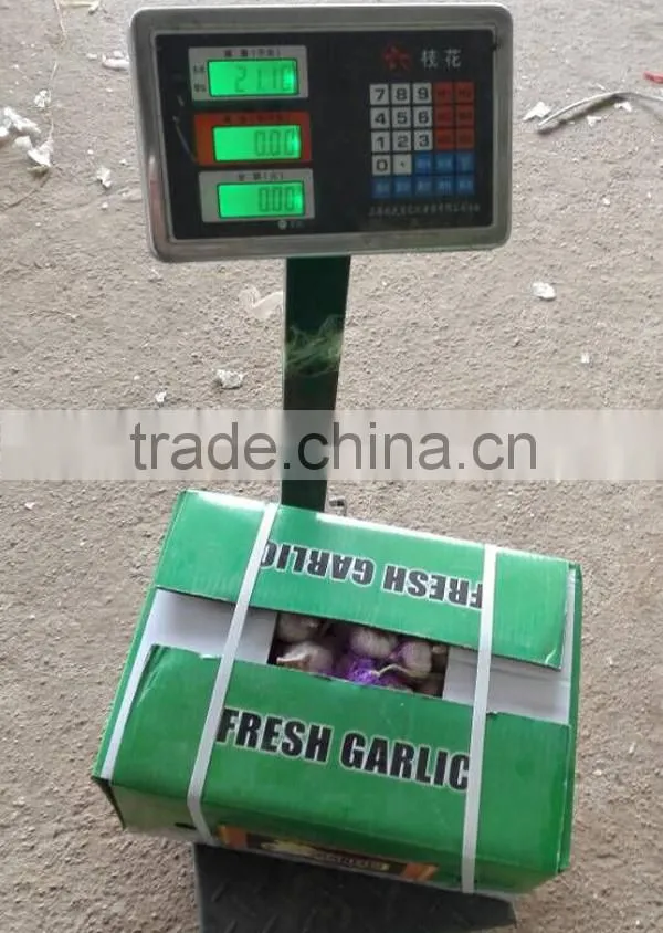 Red garlic with lowest price 2016