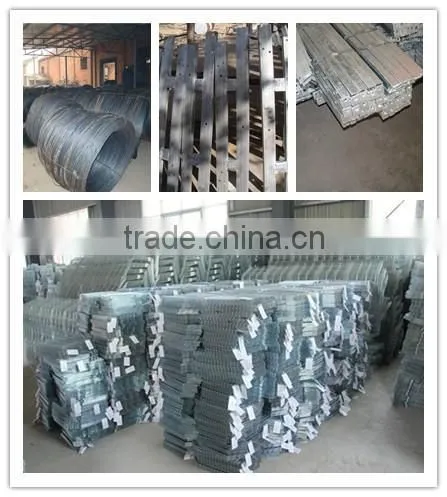 broiler battery cage with automatic feeding and manure removal equipments (professional manufacture)