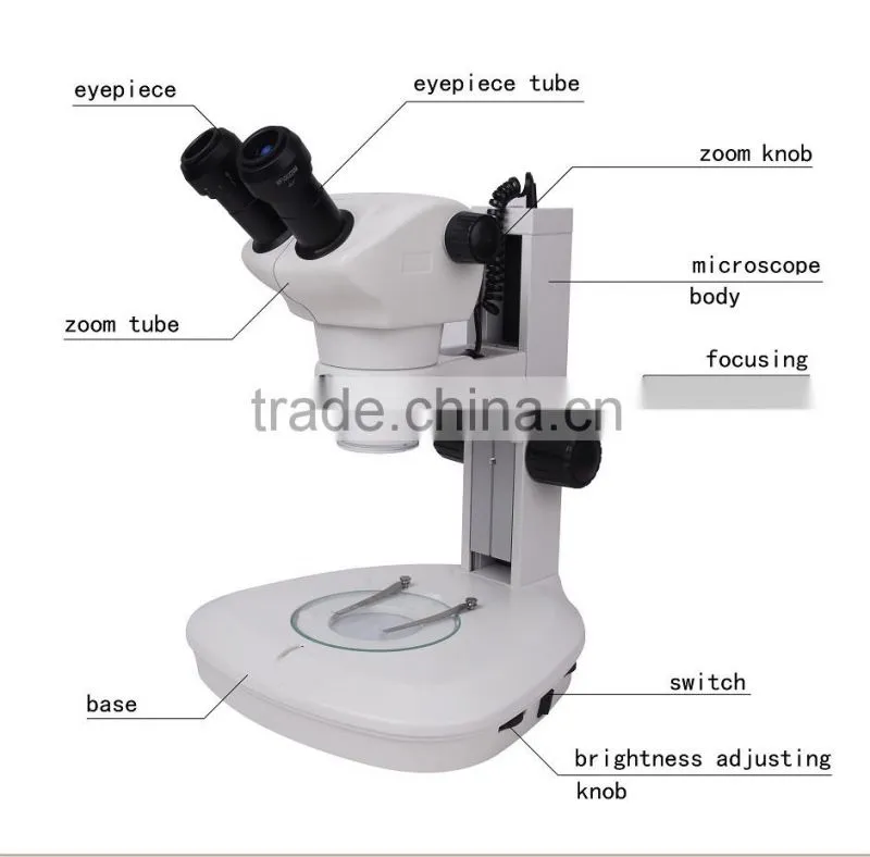Series Zoom Stereo Microscope