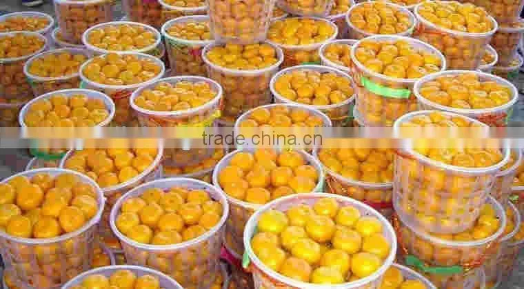 Baby Mandarin, Nanfeng baby Mandarin