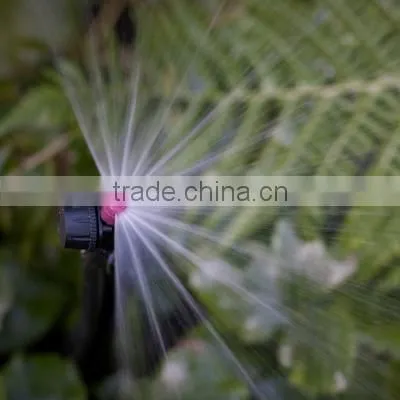 drip tape irrigation