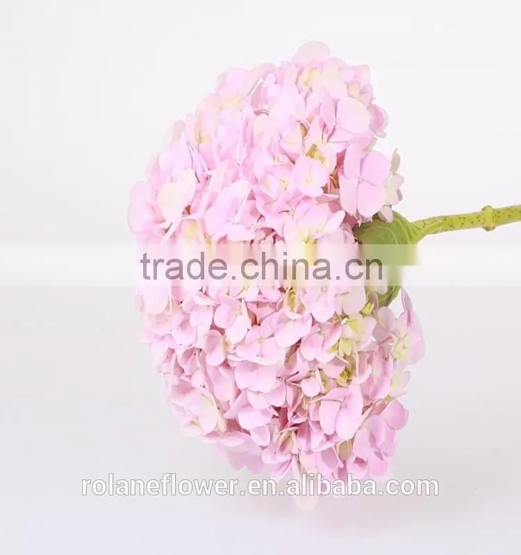 Low Price And High Quality Natural White Hydrangea Hydrangeas For Wedding From Kunming, Yunnan