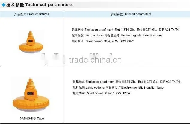 BAD85 explosion proof induction lamp