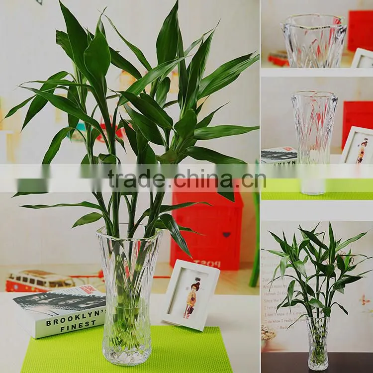 wholesale clear glass vase for flower arrangement