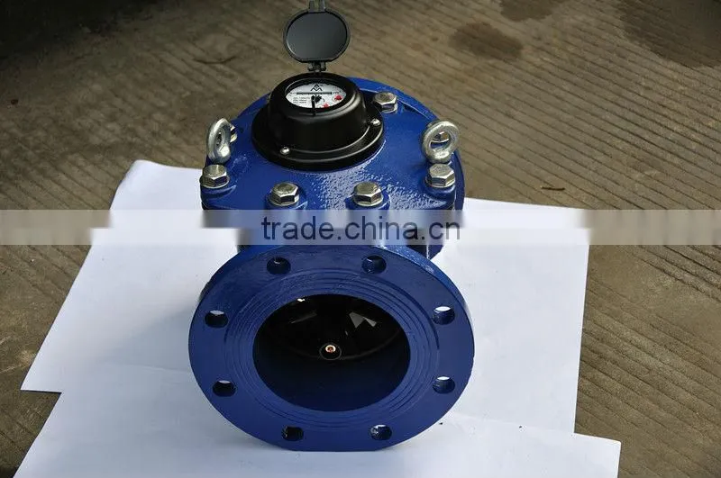 Woltman Bulk Water Meter