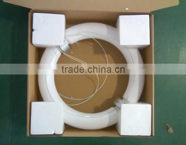 Induction Lamp Light Source For Plants 300w With Ballast