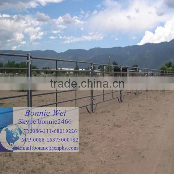 cheap models of gates and iron fence(factory & trader)