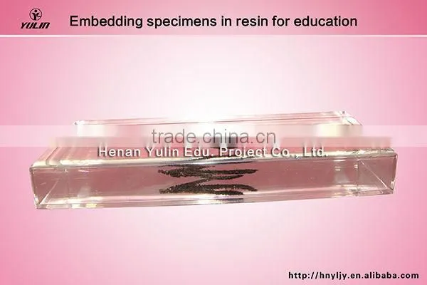 3D specimen