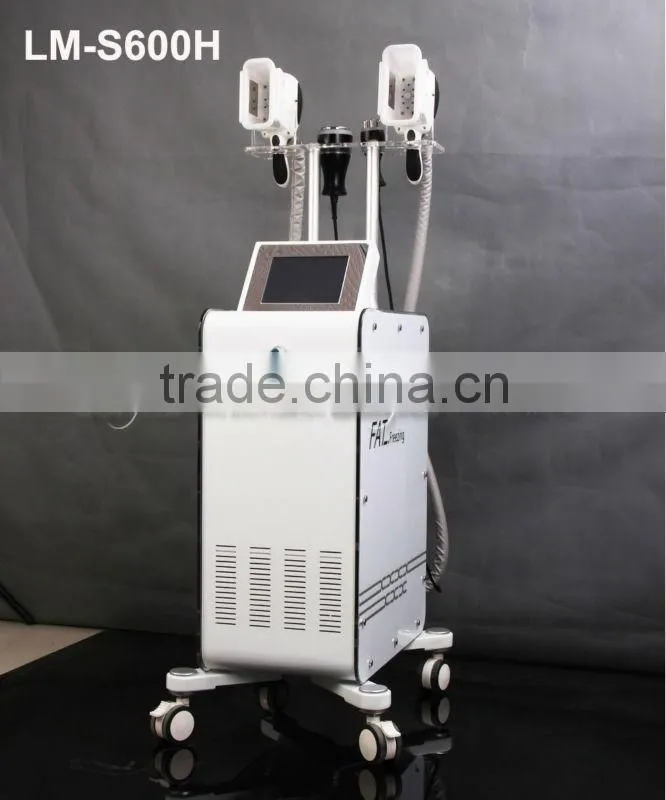 Fat Freezing Criolipolisis Lipocavitation Machine multifunction machine aesthetics