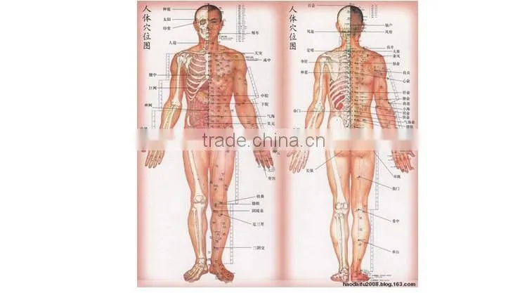 650nm bio low level Pain Relieve Cold Laser Therapy Apparatus