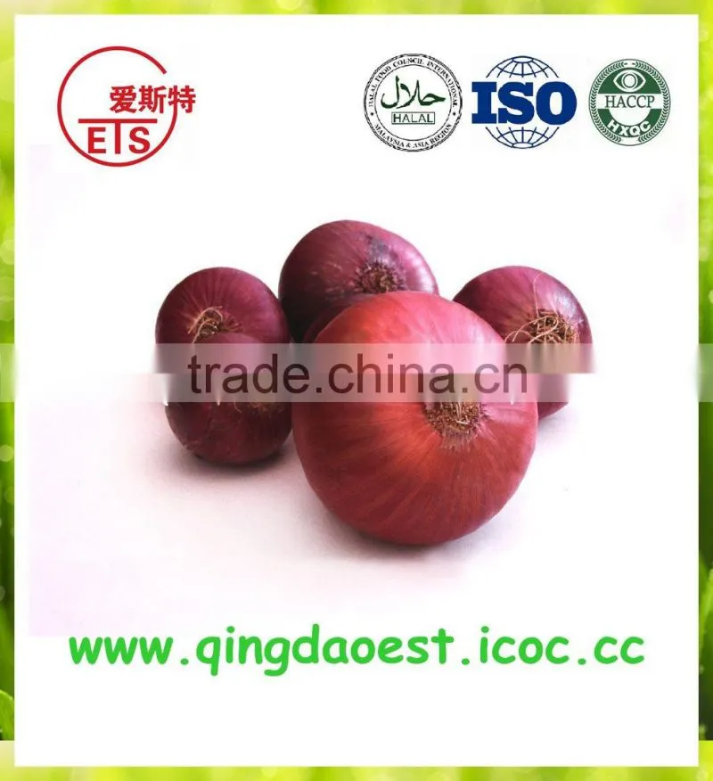 Fresh Red Onion FOR SALE