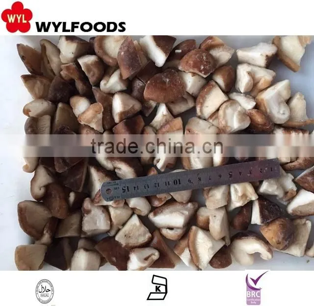 frozen mushrooms shiitake slices new crop high quality