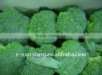 frozen green broccoli