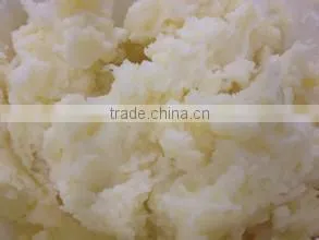 FC-308 garlic paste cutting machine