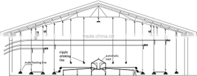Automatic nest system/auto nest system/Poultry equipment/egg picking system/chicken nest/Manual egg collection box