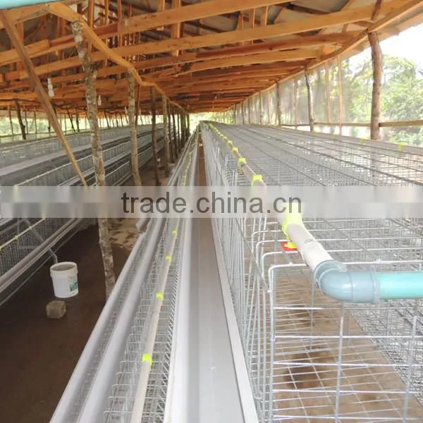 TAIYU Chicken Farm Chicken Cage for Sale