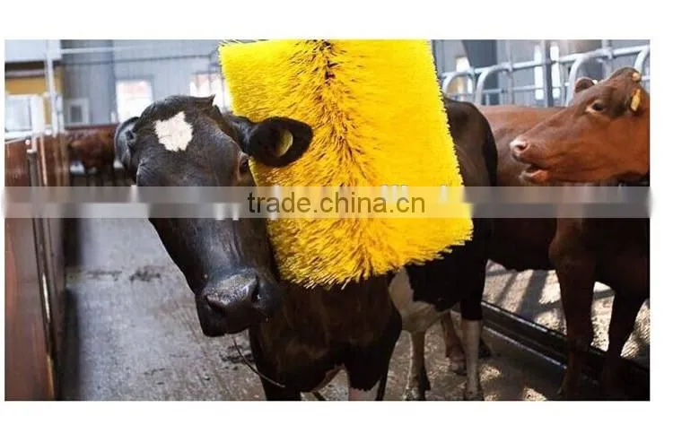 Body Brush For Cow , Cattle Brush