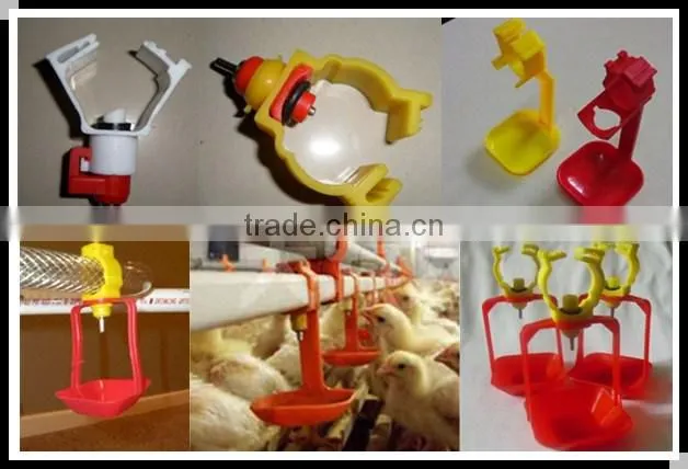 Egg tools quail eggs scissors
