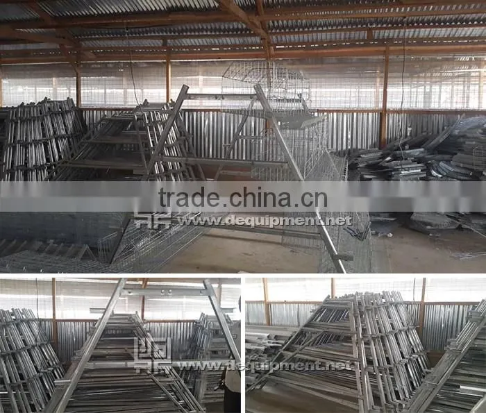 TA NO.1 factory kenya poultry farm