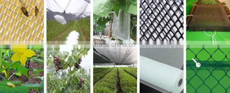 HDPE Green sun shade net for agriculture