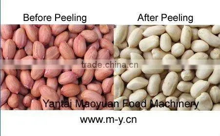 CE Certification blanched peanut production line
