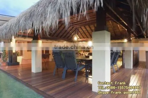 Thatched Cottage wooden house