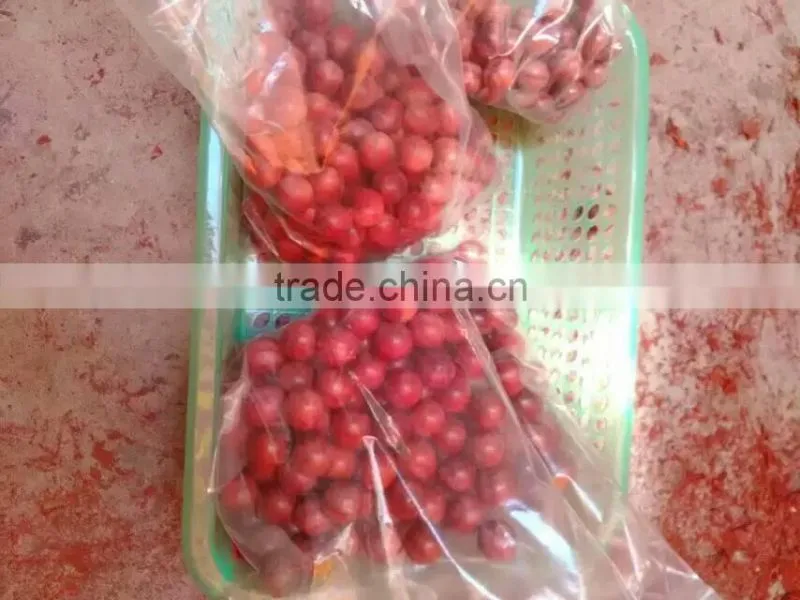 Kang Mingjian beads wooden beads processing the entire machine