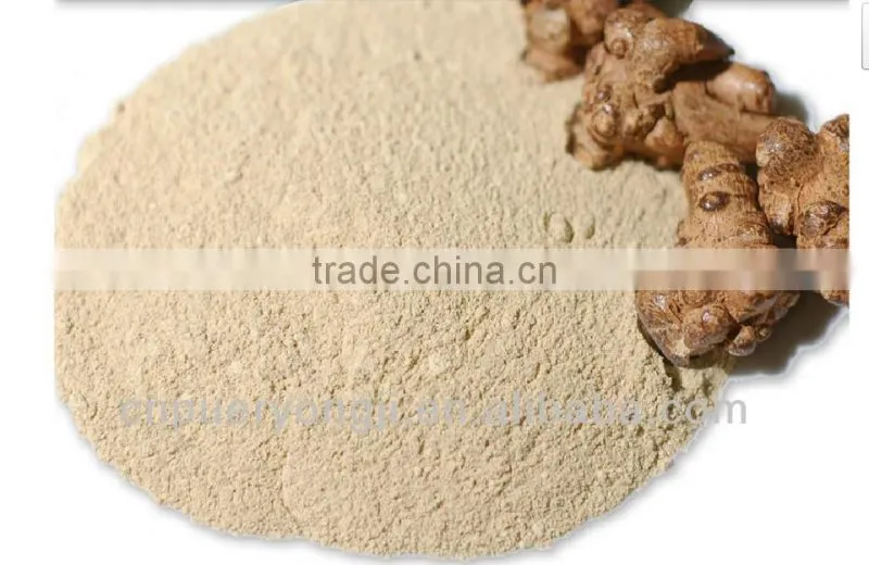 Factory Supply Dietary Supplyment 100% Natural panax Notoginseng P.E. / Wild Radix Notoginseng Extract
