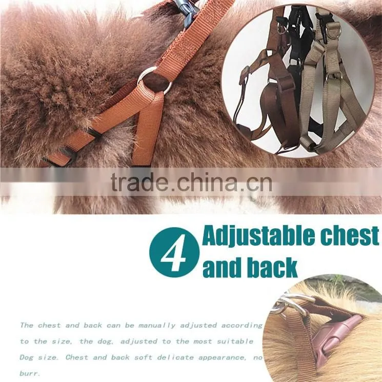 alibaba china hot sale high quality dog traction for exporters