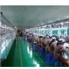 Shenzhen YLW Technology Co., Ltd company overview - view 1