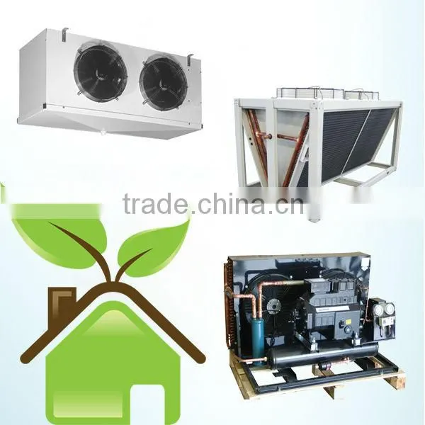 china commercial freezer for fish and chicken