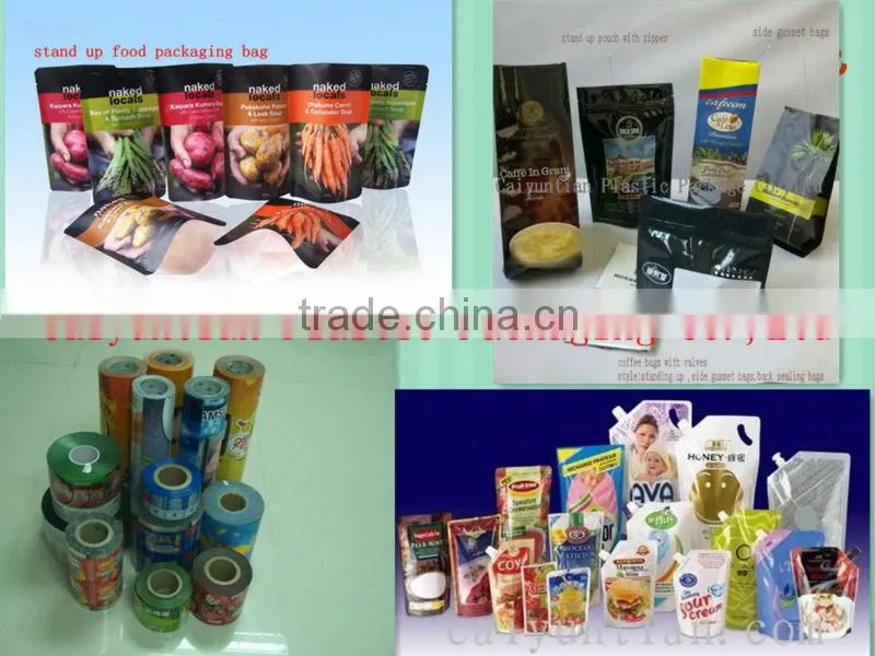 Top Grade Printing Stand up Dried Fruit Package Bag with Zipper