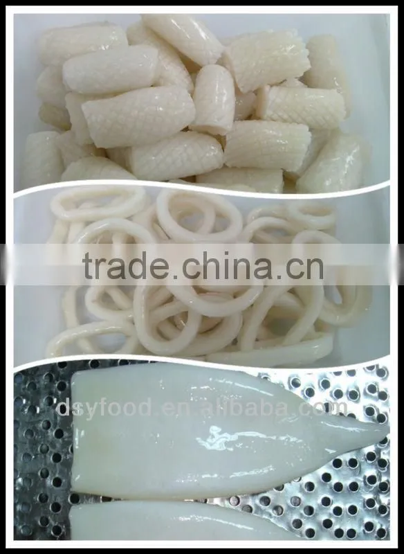 Frozen Squid illex squid and japanese squid