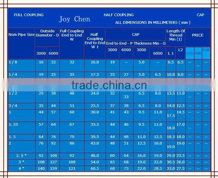 Stainless Steel Pipe Threaded End Cap