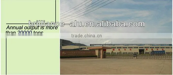 Brlliance China Customized low pressure die casting wiki