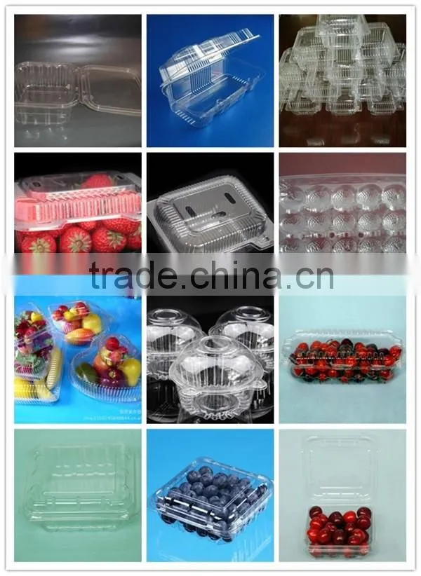 Plastic clear strawberry packaging box with lid