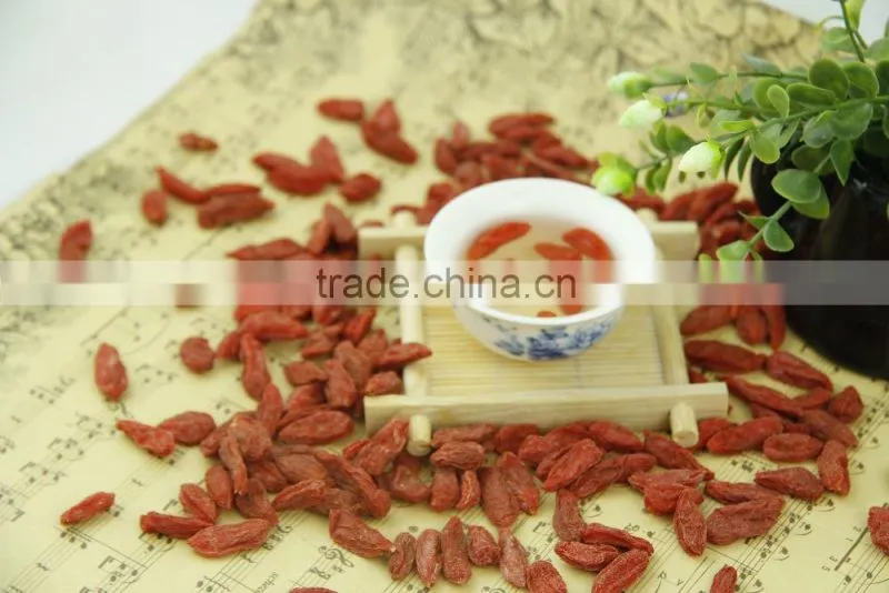 Ningxia Gouqi zi fruit,Yishaotang dried Goji berries nutrition Red medlar boxthorn lycium fruit