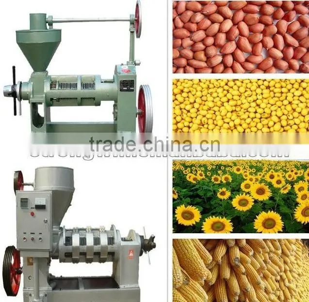 High efficiency small peanut oil press machine with good reputation