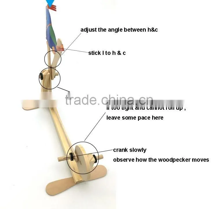 Woodpecker 3D puzzle Wooden kids educational toys