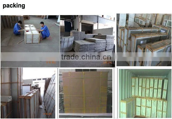 Insect protection window screen