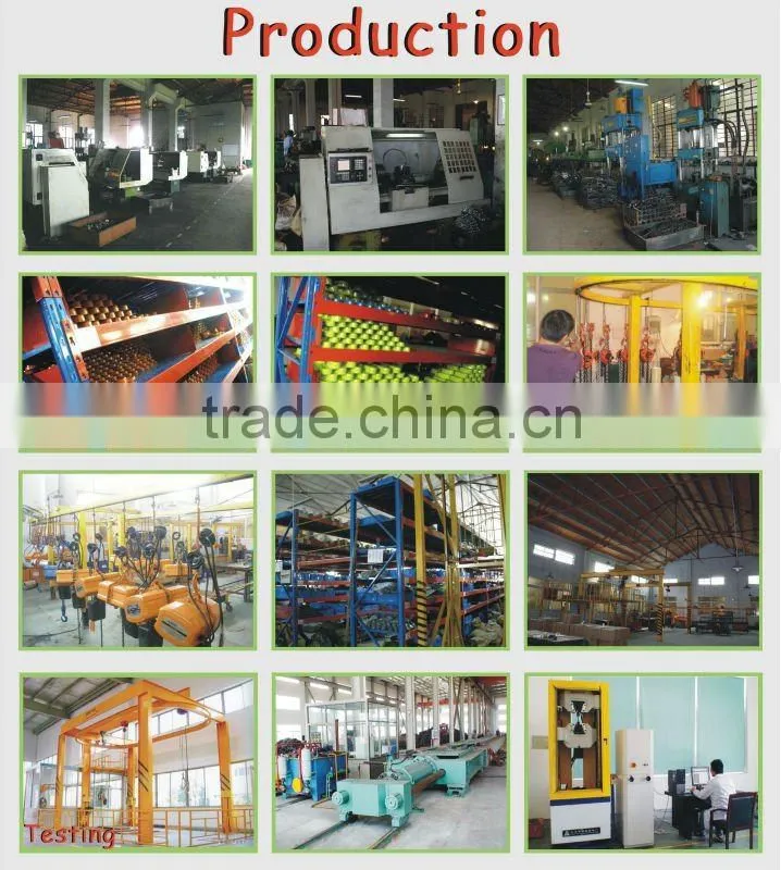 Electric Hoist with CE Certificate