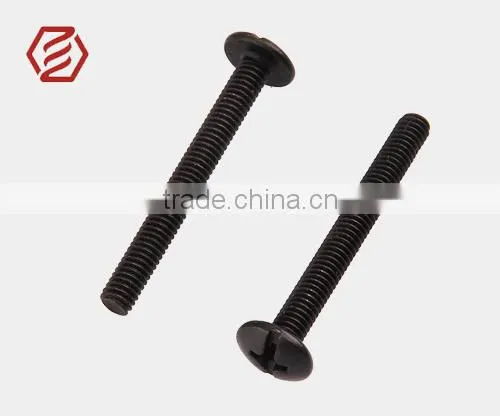Small pan head cross cut black zinc plated screw for lighting